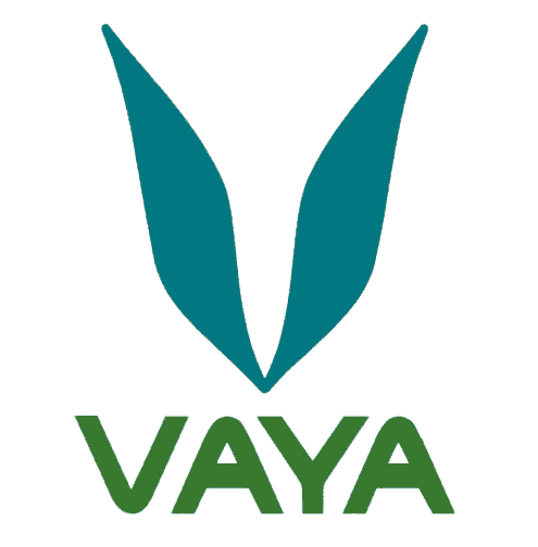 Vaya