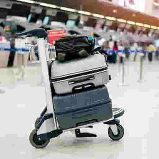 Travel & Luggage