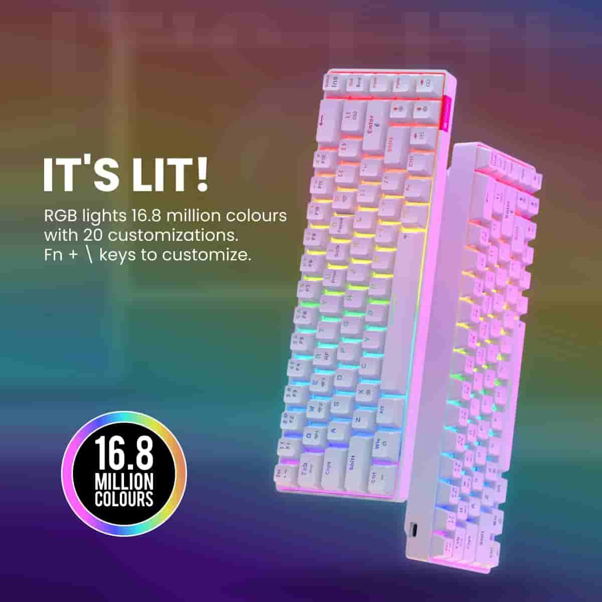 61qggrECRgL._SL1200_.jpg