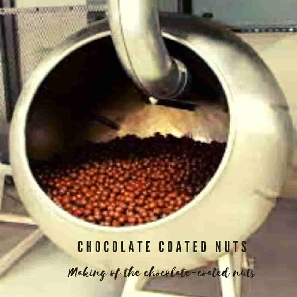 Zoroy Luxury Chocolate Coated Nuts | Dark Chocolate Coated Raisin
