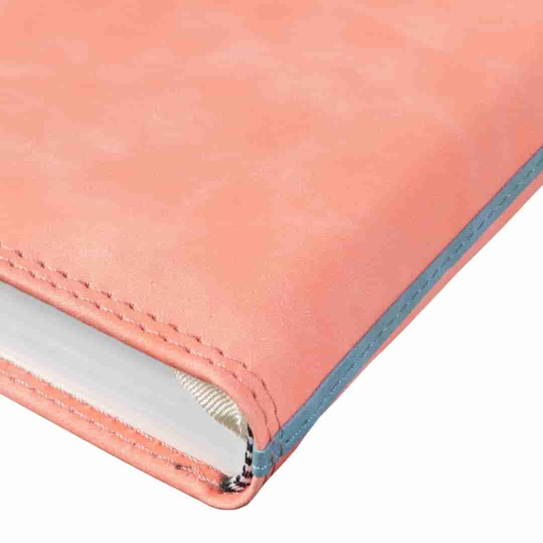 Anupam Accent Diary 2025 B5 (80 GSM) Pink