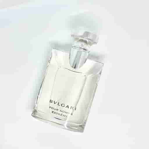 Bvlgari Pour Homme Edt 100ml Perfume (Men) Ant Mascot