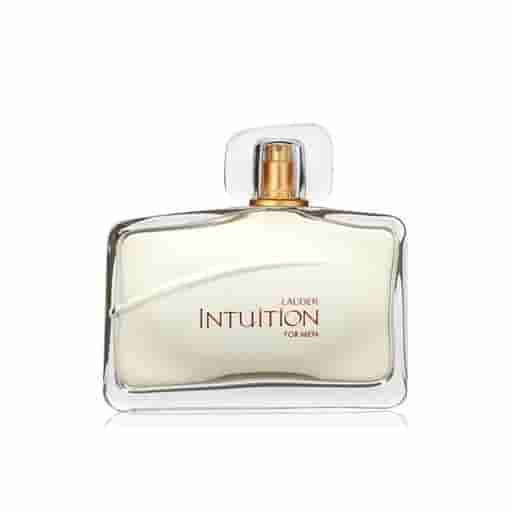 Estee Lauder Intuition Edt 100ml Perfume (Men)