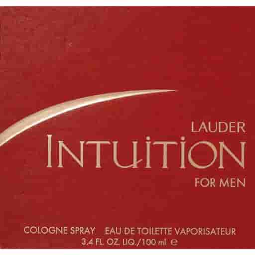 Estee Lauder Intuition Edt 100ml Perfume (Men)