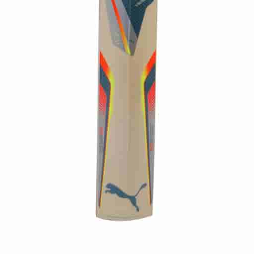 Puma Evospeed Hpi English Willow Cricket Bat