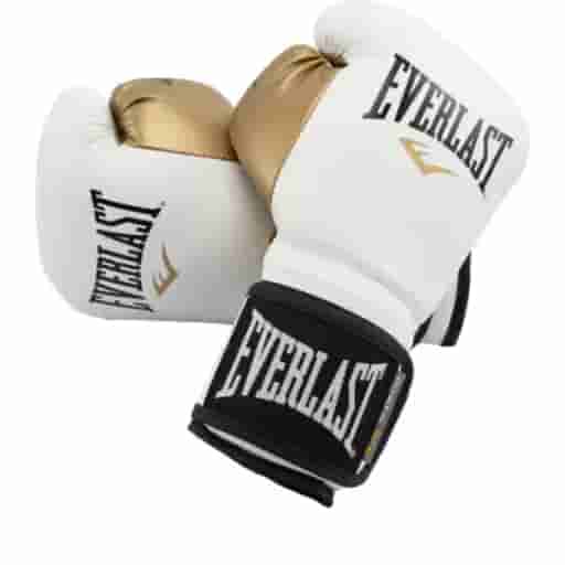 EVERLAST BOXING GLOVES POWERLOCK 10OZ