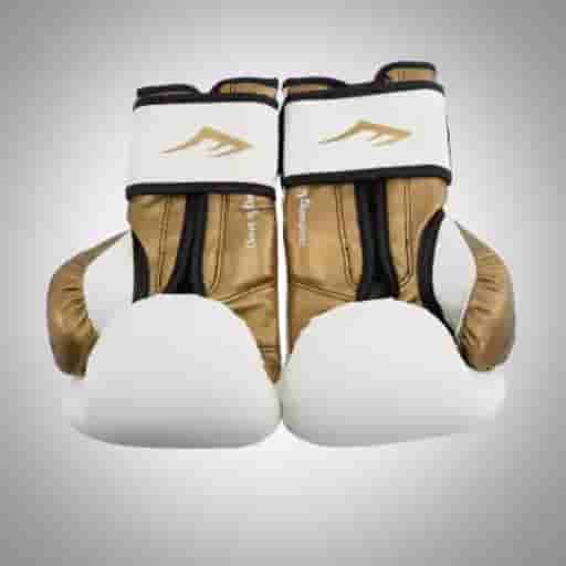 EVERLAST BOXING GLOVES POWERLOCK 10OZ