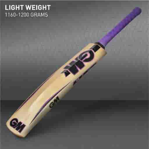 Haze Contender Kashmir Willow Cricket Bat (Sh)