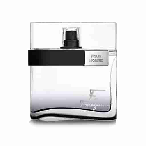 Salvatore Ferragamo F Edt 100ml Perfume (Men)