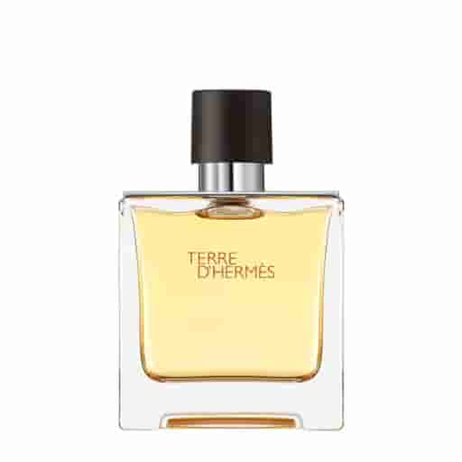 Terre D'Hermes Edp 75Ml Perfume (Women)