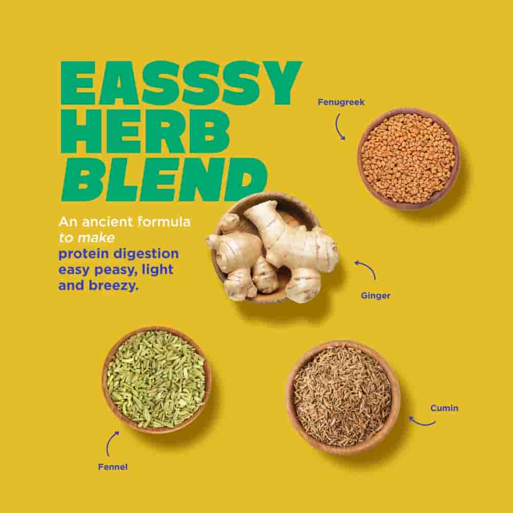 Yoga Bar Plant Protein Coffee Flavour (500g)