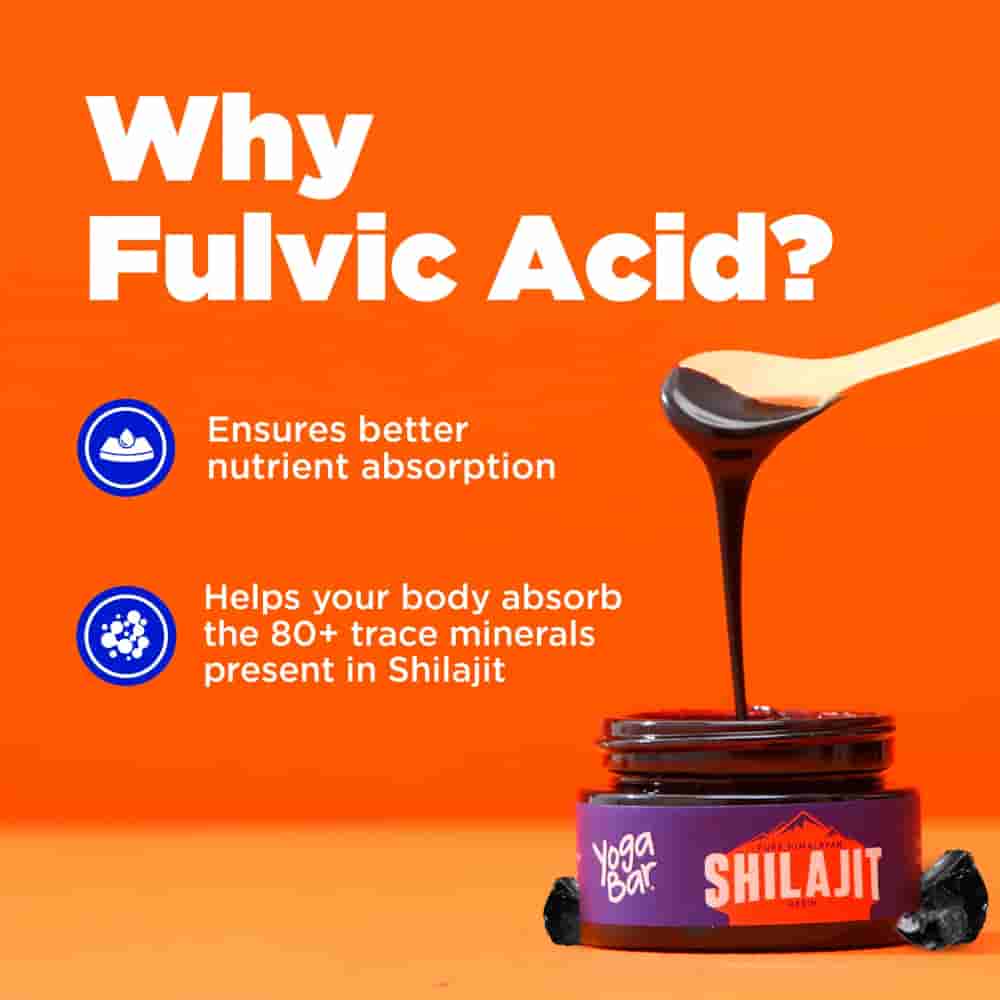 Yoga Bar Pure Himalayan Shilajit  (10g)