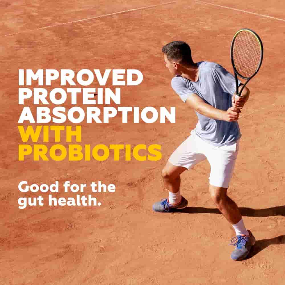 Yoga Bar 20g Protein Strong Variety Pack (5 bars)