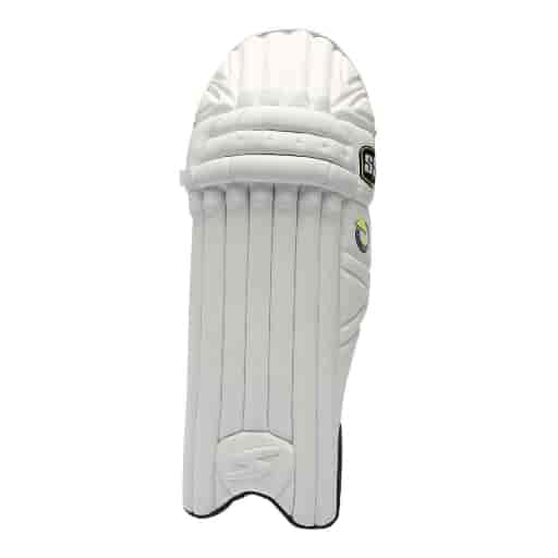 Ss Test Matrix Players Batting Pads