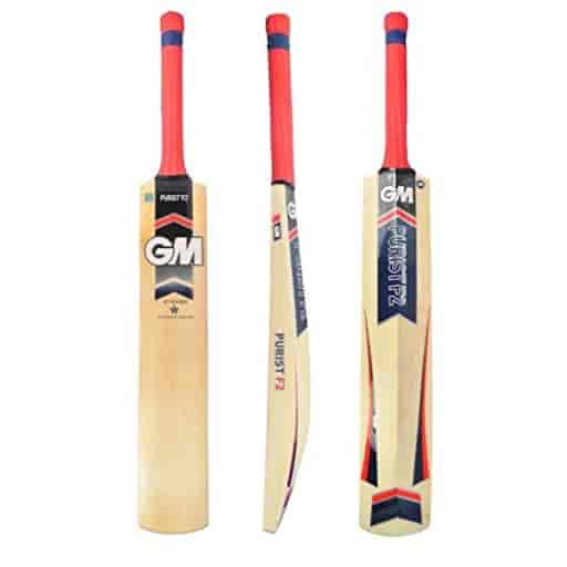 Gm Purist F2 101 Kashmir Willow Cricket Bat