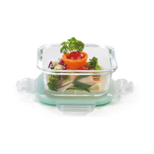 Signoraware Lock N Store Glass Square 520 ml in bulk from India — Ant Mascot