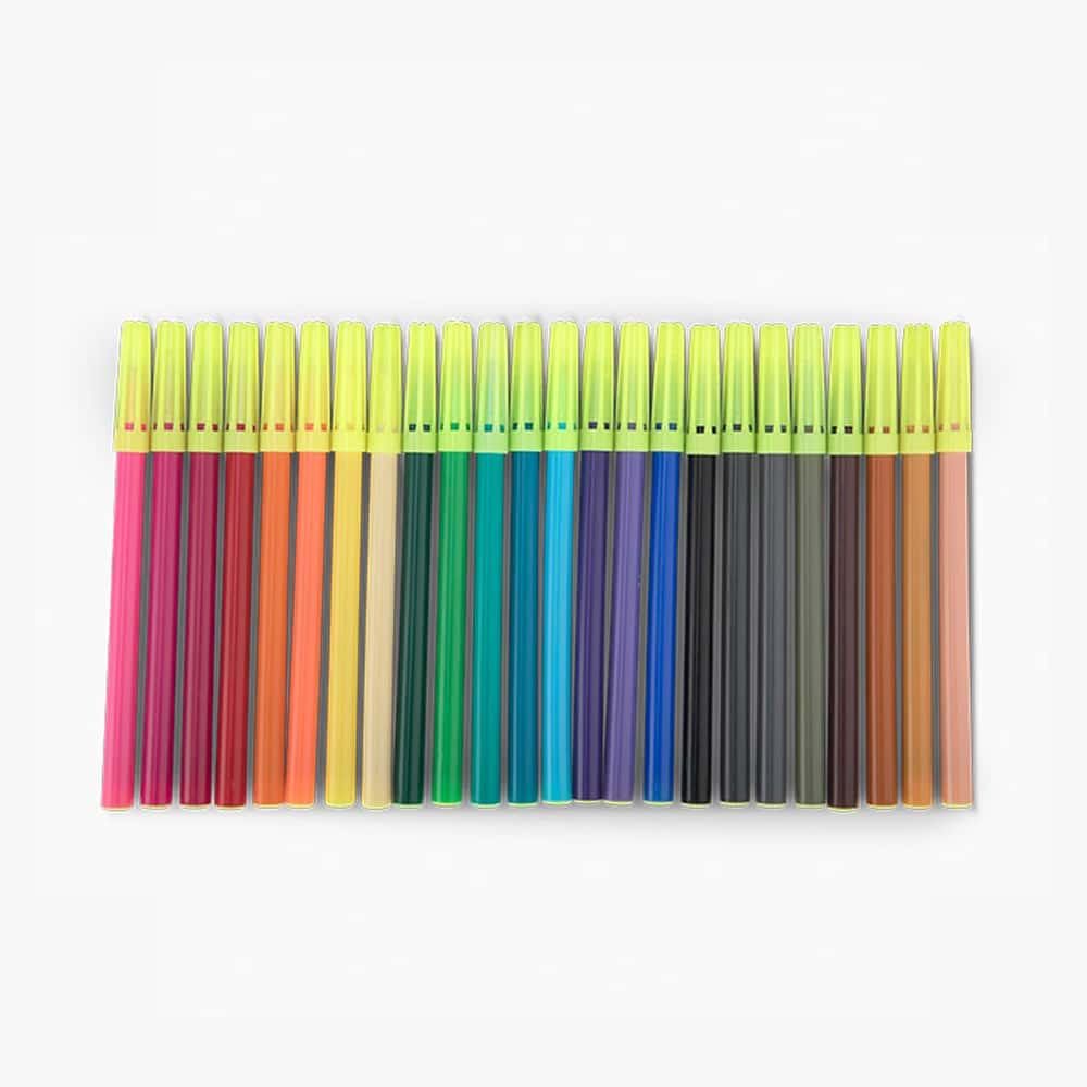 Camlin Sketch Pens (Pokemon) Pack of 24 Shades in bulk from India — Ant Mascot