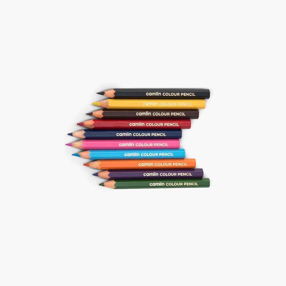 Camlin Colour Pencils 10 Shades Half Size in bulk from India — Ant Mascot