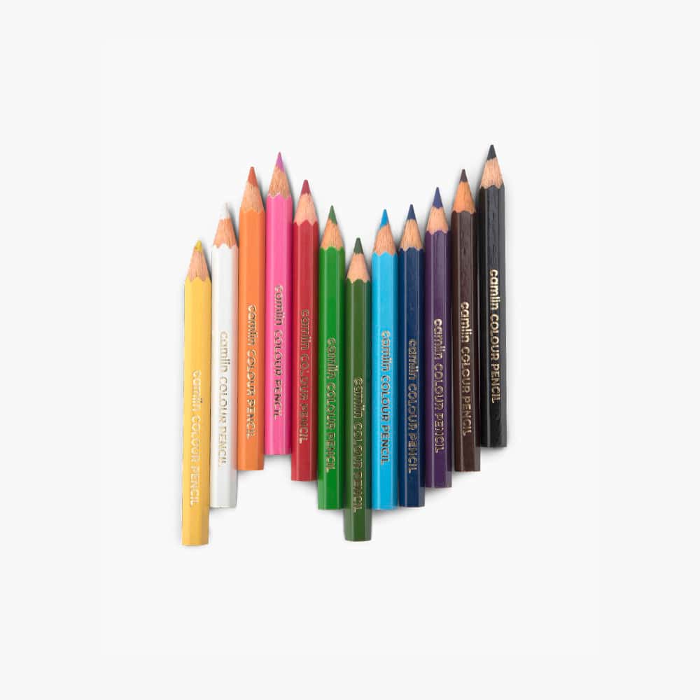 Camlin Colour Pencils 12 Shades Half Size in bulk from India — Ant Mascot