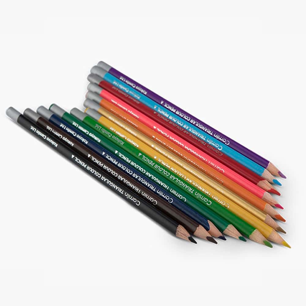 Camlin Triangular Colour Pencil 12 Shades in bulk from India — Ant Mascot