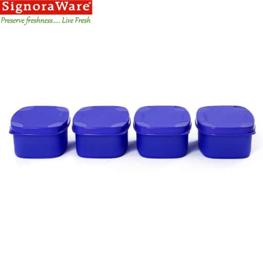 Signoraware Cute Container (Set Of 4) in bulk from India — Ant Mascot