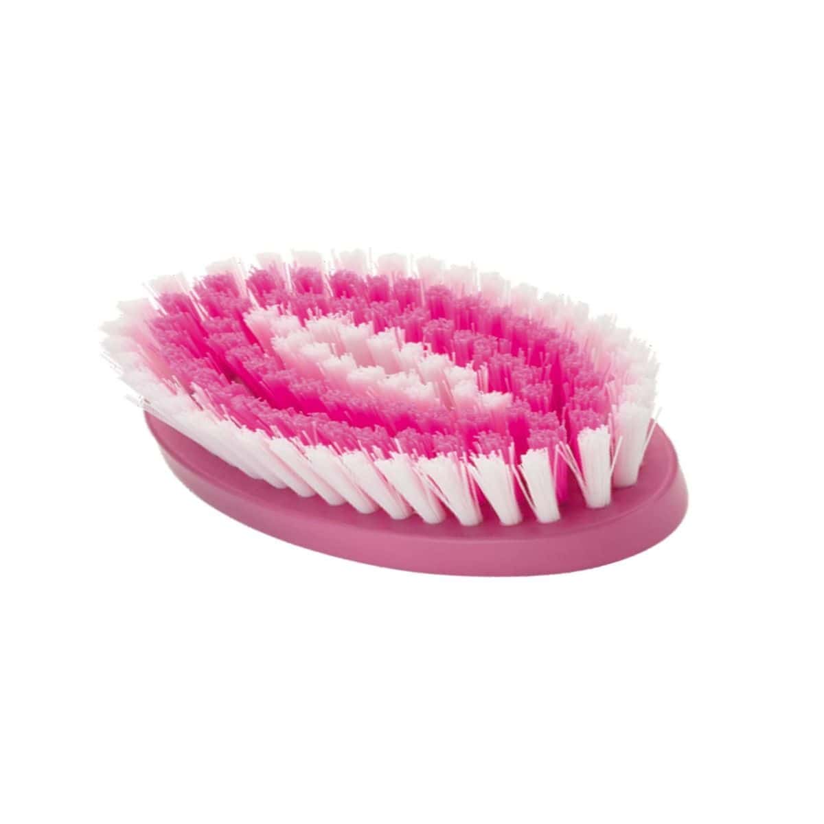 Signoraware Oval Cloth Brush Multipurpose in bulk from India — Ant Mascot