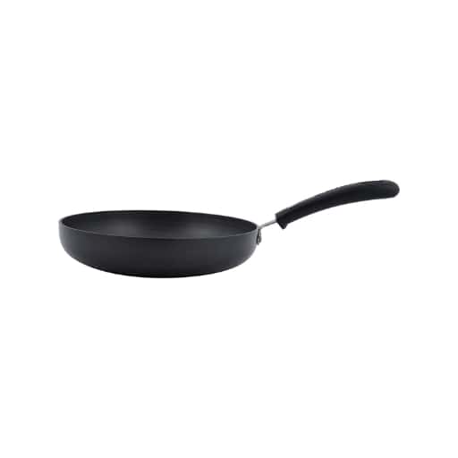 Bajaj Induction Frying Pan 240mm in bulk from India — Ant Mascot
