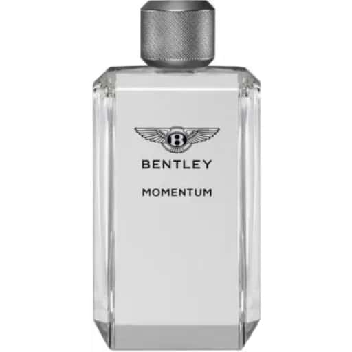 Bently Momentem Edt 100ml Perfume (Men) in bulk from India — Ant Mascot