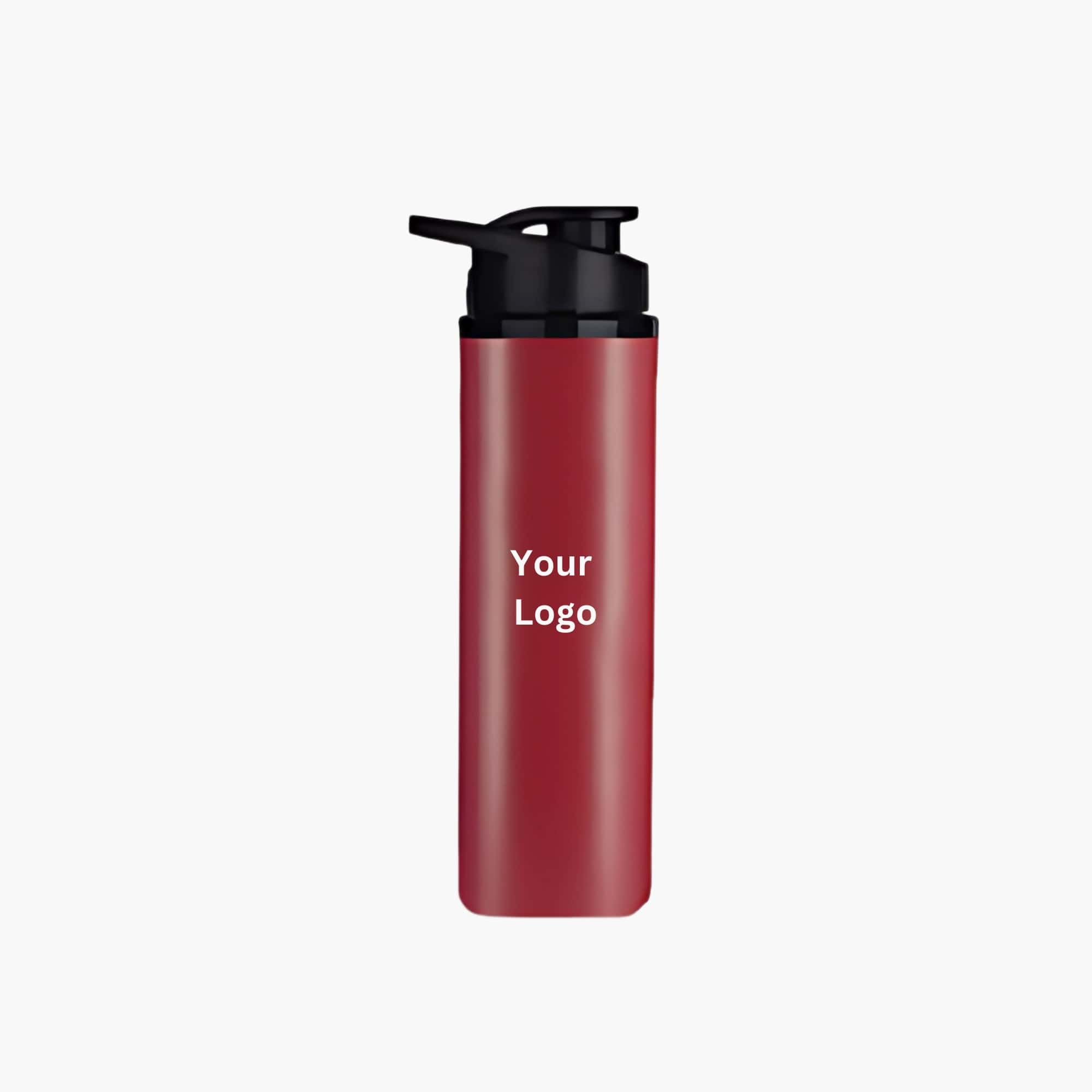 Versatile Sporty Bottle in bulk from India — Ant Mascot