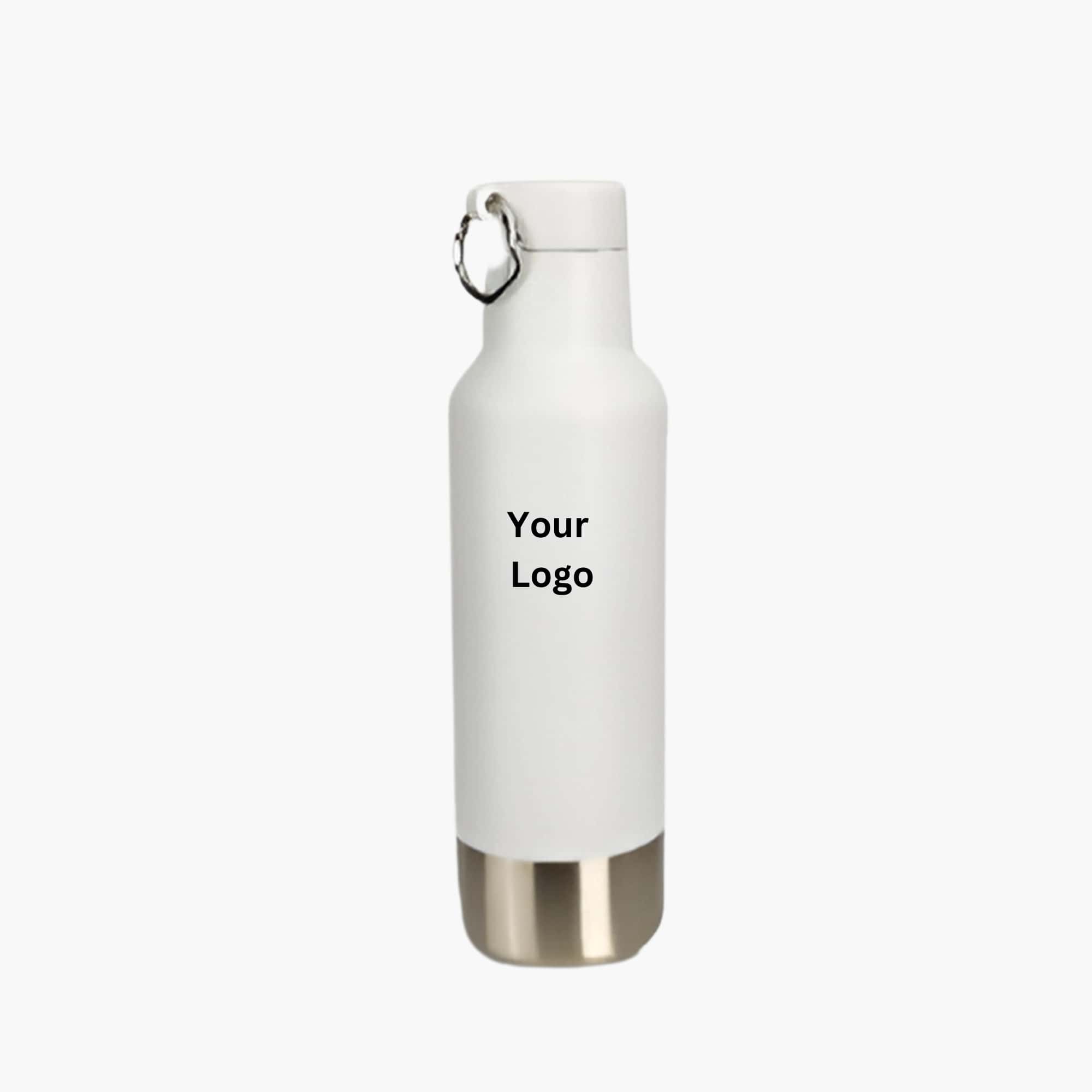 Versatile Vacuum Flask in bulk from India — Ant Mascot