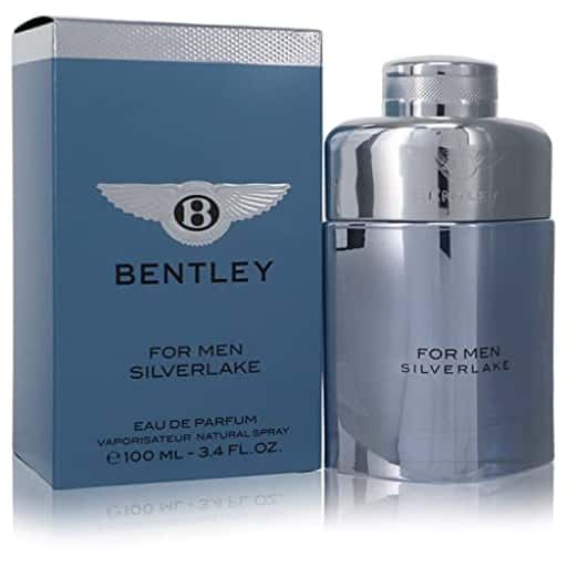 Bentley Silverlake Edp 100ml Perfume (Men) in bulk from India — Ant Mascot