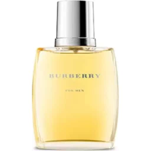 Burberry Classic Red Edt 100ml Perfume (Men) in bulk from India — Ant Mascot