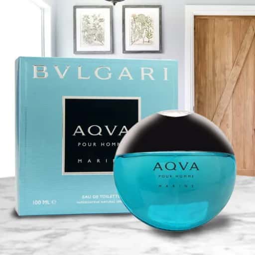 Bvlgari Aqua Marine Edt 100ml(Men) in bulk from India — Ant Mascot