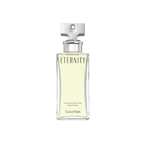 Calvin Klein Eternity Edp 100ml Perfume (Women) in bulk from India — Ant Mascot