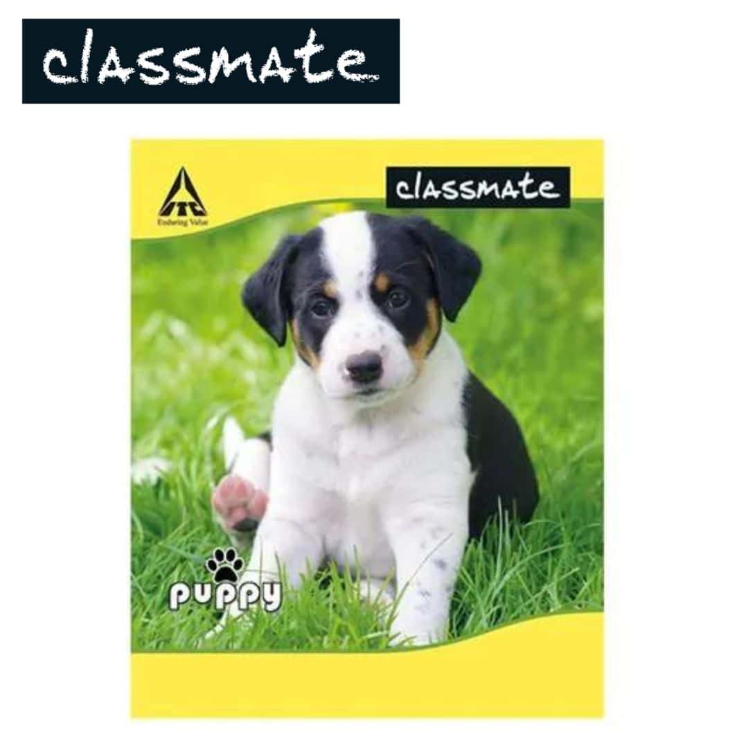Classmate Soft Bounded Unruled Note Book 172Pg (190X155mm) in bulk from India — Ant Mascot