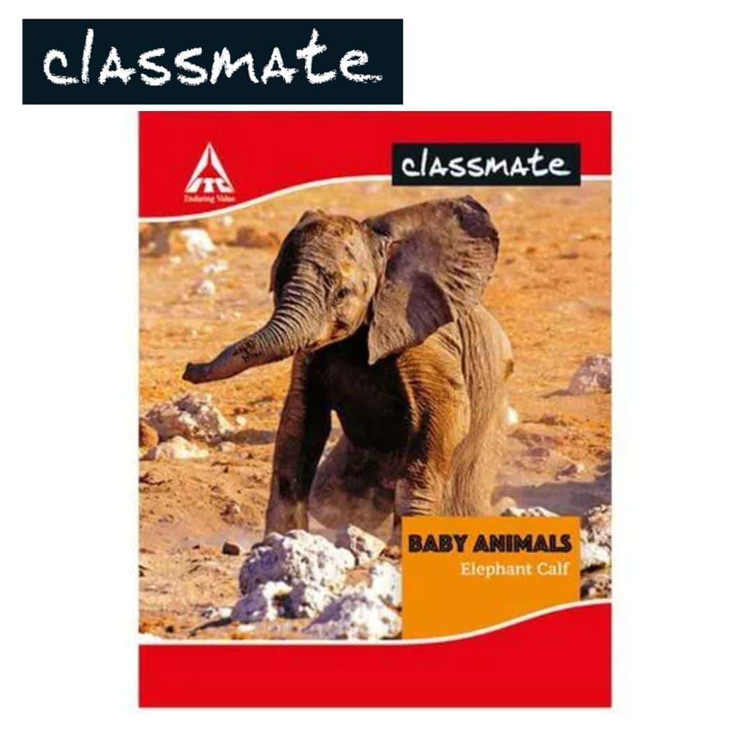 Classmate Soft Bounded Double Line Note Book 172Pg (190X155mm) in bulk from India — Ant Mascot