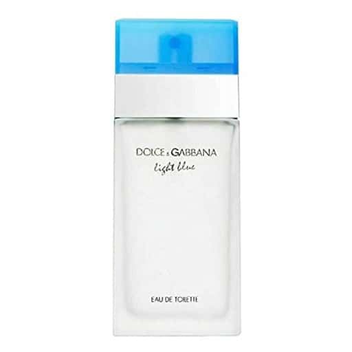 Dolce & Gabbana Light Blue Edt 100ml Perfume (Women) in bulk from India — Ant Mascot