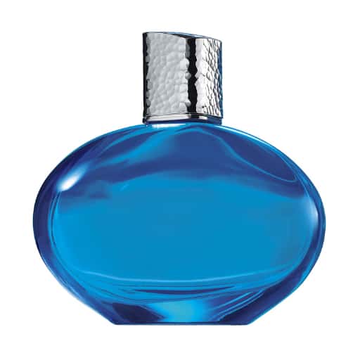 Elizebeth Arden Mediterrenian Edp 100ml Perfume Women in bulk from India — Ant Mascot