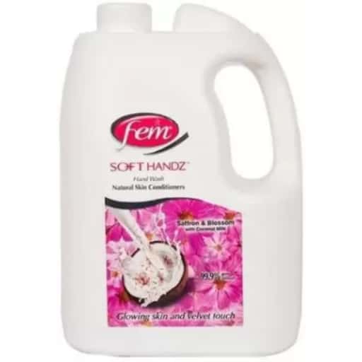 Fem Hand Wash - 5Ltr in bulk from India — Ant Mascot