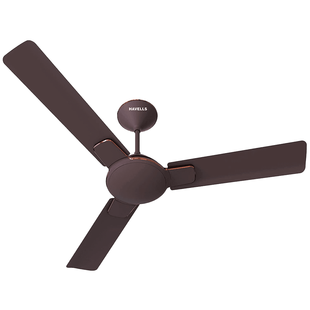 This is default Image in bulk from India — Ant Mascot