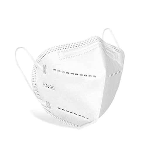 Lifelong Particulate Respirator Kn95 Mask in bulk from India — Ant Mascot