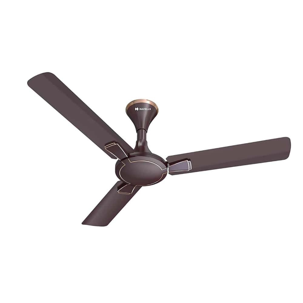 Havells 1200mm Ceiling Fan Milor ES Dusk in bulk from India — Ant Mascot