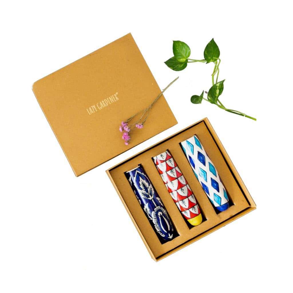 Lazy Gardener Ceramic Magnetic Planter The Good Gift Box Trio in bulk from India — Ant Mascot
