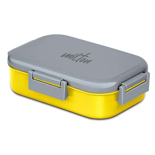 Milton Flatmate Inner Steel Kids Tiffin Box in bulk from India — Ant Mascot