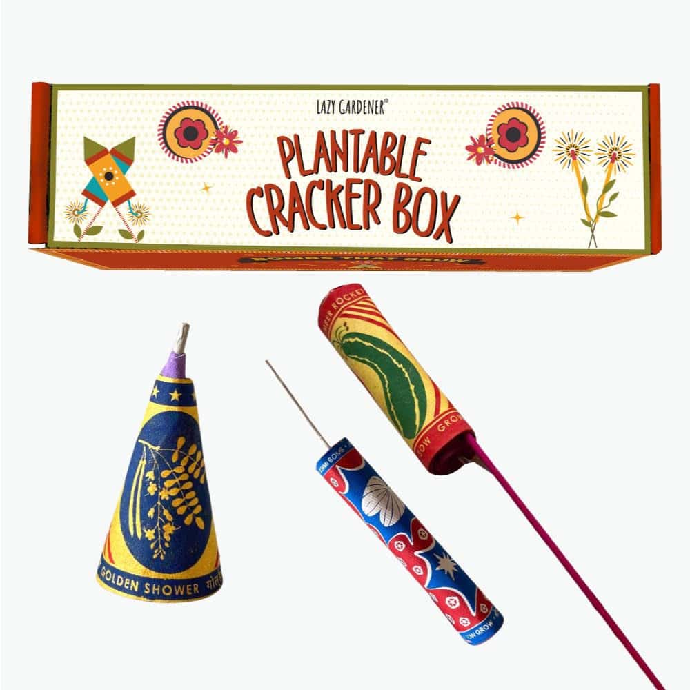 lazy gardener Plantable Shape Crackers Gif Box 3 in bulk from India — Ant Mascot