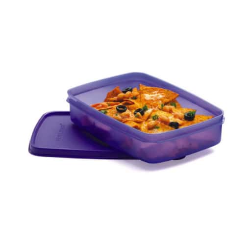 Signoraware Crispy Big Slim Box (Set of 8) in bulk from India — Ant Mascot