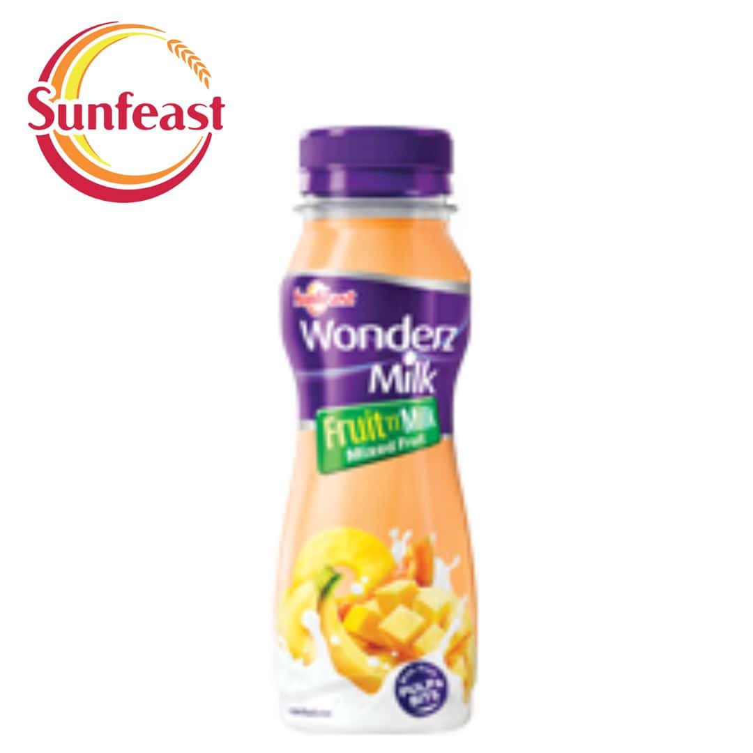 Wonderz Milk Fruit n Milk Mixed Fruit -200ml in bulk from India — Ant Mascot