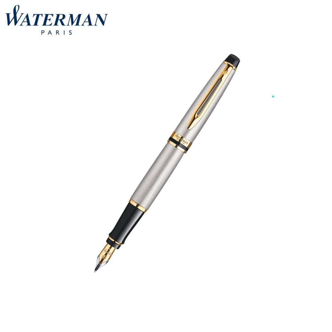 Waterman Expert Stainless Steel Gt Fountain Fine Pen in bulk from India — Ant Mascot