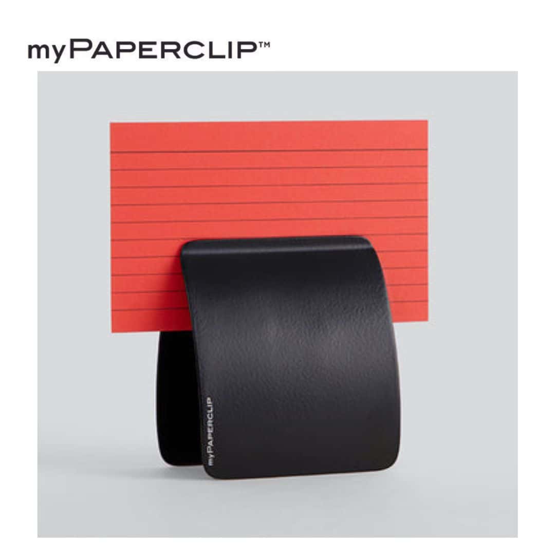 myPAPERCLIP Paper Clip 90 mm (L) x 80 mm (W) x 40 mm (H) in bulk from India — Ant Mascot