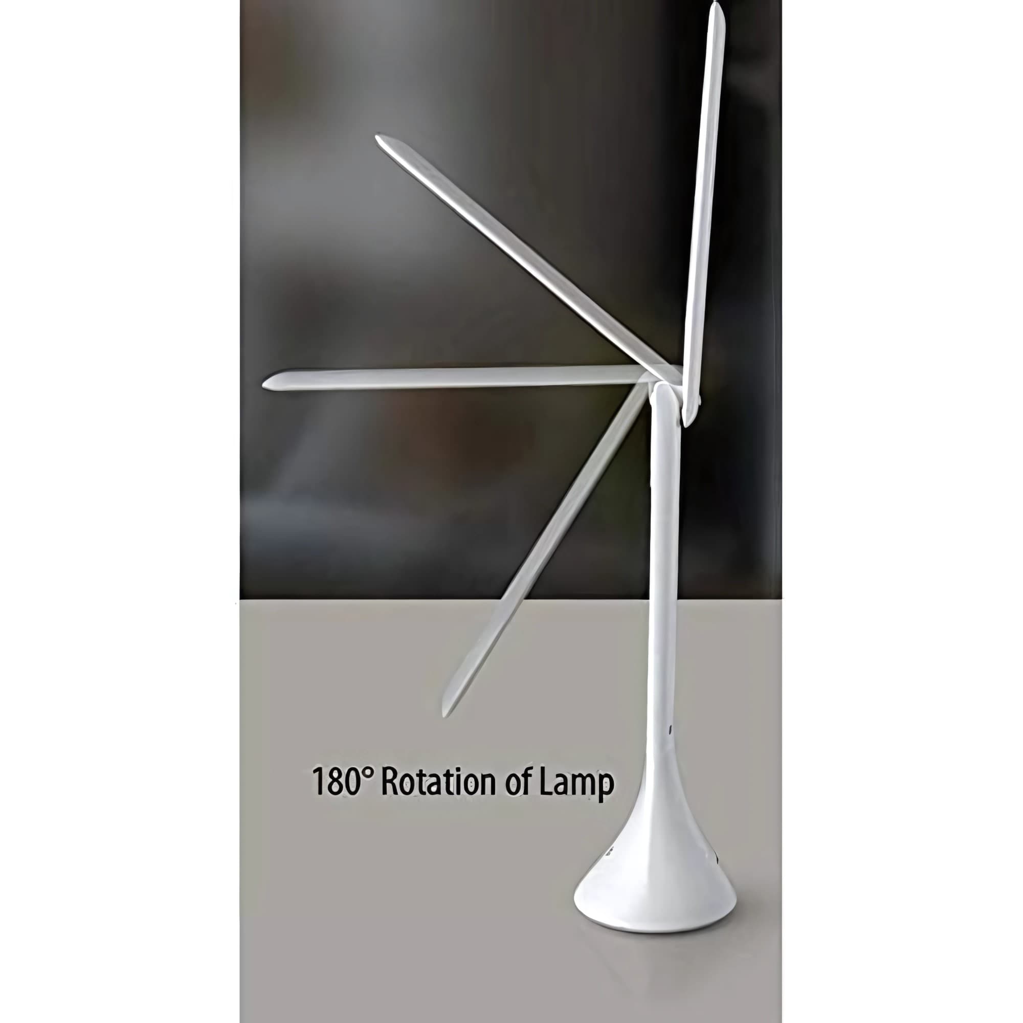 160-2.jpg